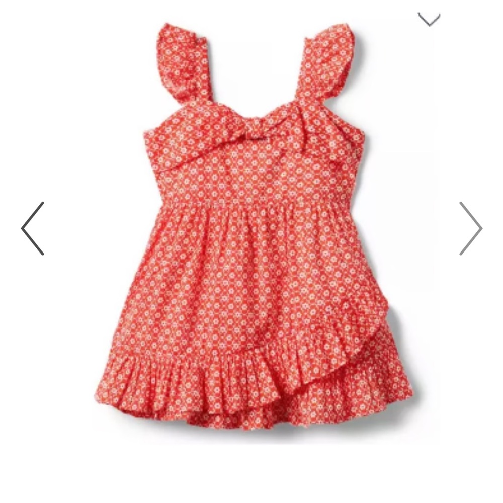 Janie and Jack Red Floral Dress